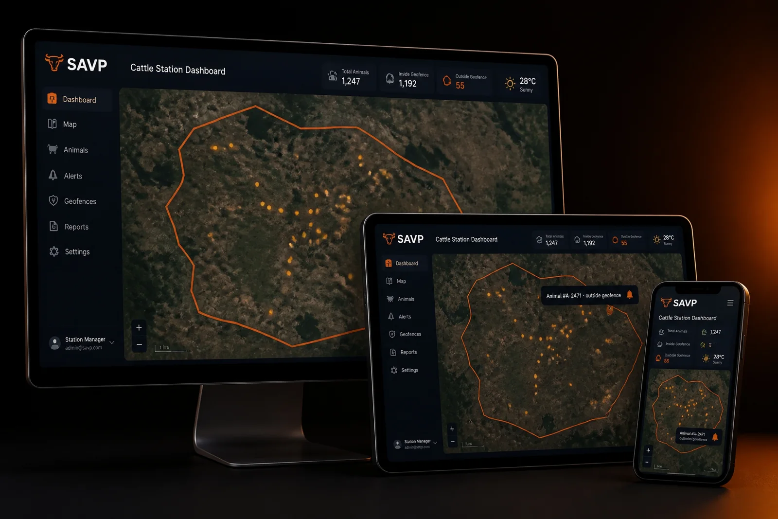 StiknTrak SAVP livestock dashboard on desktop, tablet and mobile
